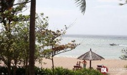 巴厘岛爆料截图视频